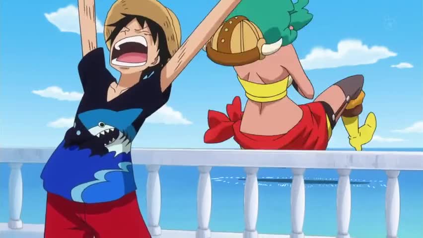 One Piece Episode 800 English Subbed